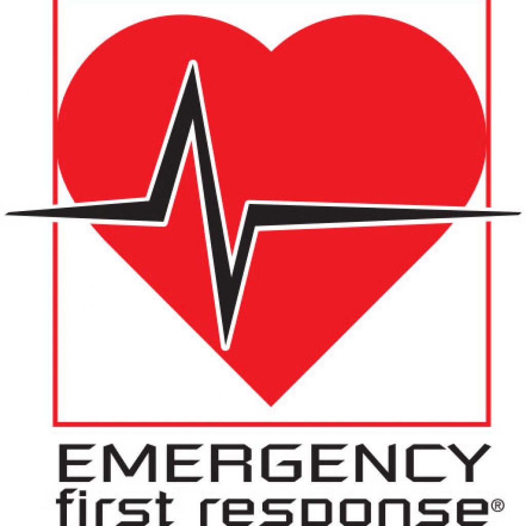 efr-logo-black-text